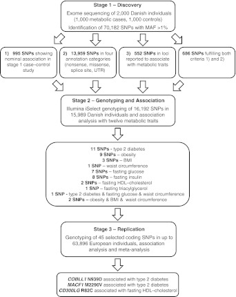 Exome sequencing-driven discovery of coding polymorphisms associated with common metabolic phenotypes