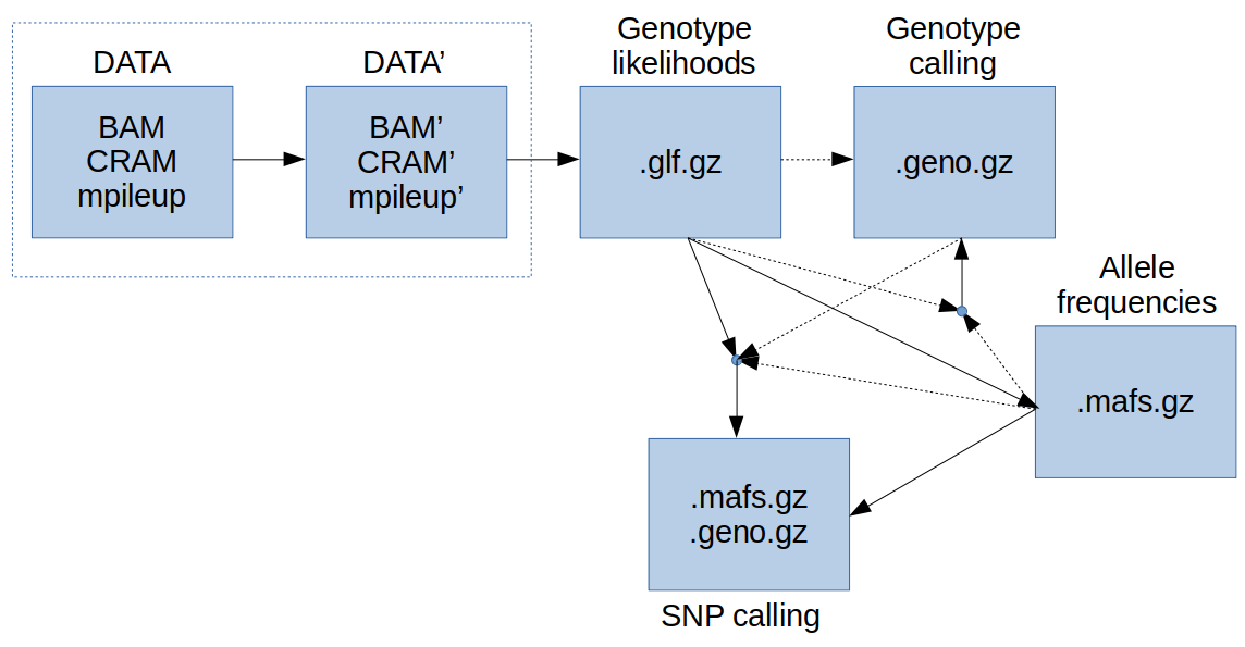 Genotype and SNP calling from next-generation sequencing data
